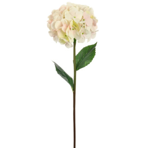 Silk Mophead Hydrangea Barely Blush