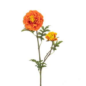 Marigold Spray