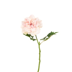 Blush Peony Pink - 62cm