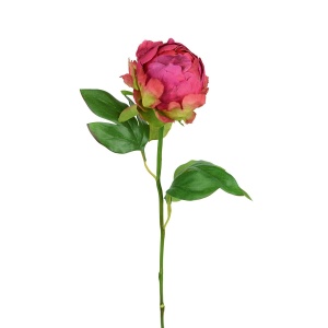 Hybrid Peony Bud 45cm