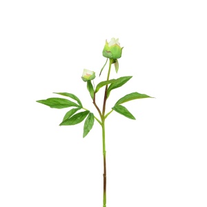 Peony Bud F.t. X1 White-48cm