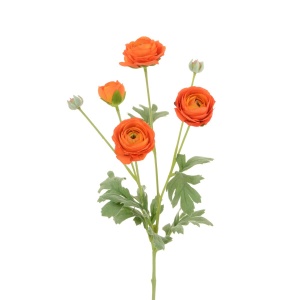 Ranunculus Spray X 4 67cm