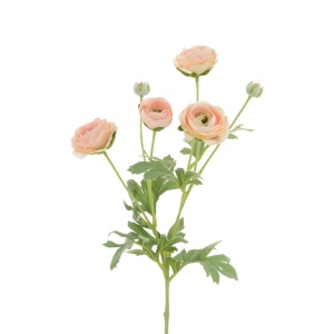 Ranunculus Spray X 4 67cm