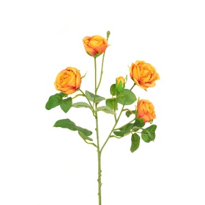 Abeba Rose Spray X5 - 60cm