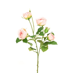Abeba Rose Spray X5 - 60cm