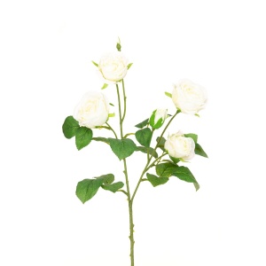 Abeba Rose Spray X5 - 60cm