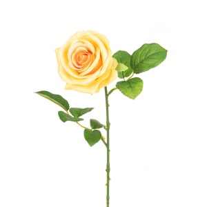Gemma Single Rose - 64cm