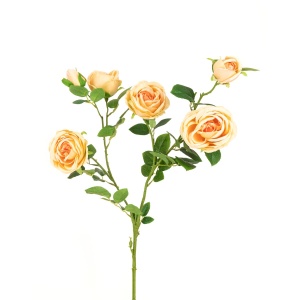 Gemma Rose Spray X6 - 88cm