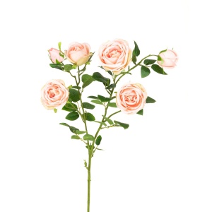 Gemma Rose Spray X6 - 88cm