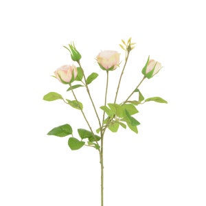 English Cabbage Rose X 4 61cm