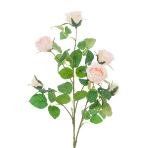 Juliet Rose Spray 70cm
