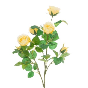 Juliet Rose Spray 70cm