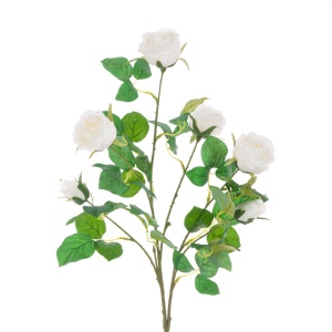 Juliet Rose Spray - White
