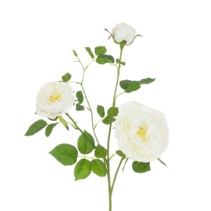 Catherine Rose Spray 84cm