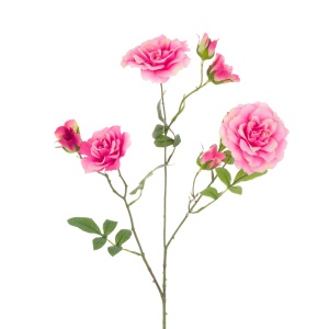 Amanda Rose Spray 69cm