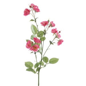 Isabella Wild Rose Spray 73cm