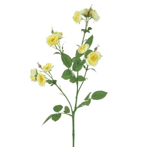 Isabella Wild Rose Spray 73cm