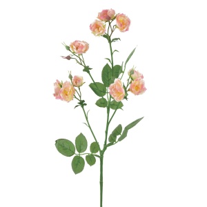 Isabella Wild Rose Spray 73cm