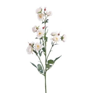Eco Isabella Wild Rose Spray 73cm, White