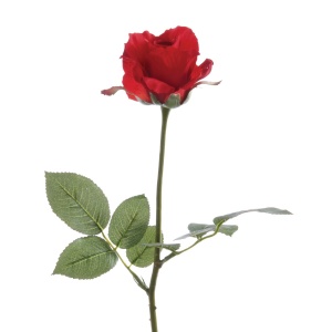 Amelia Rose Bud 68cm