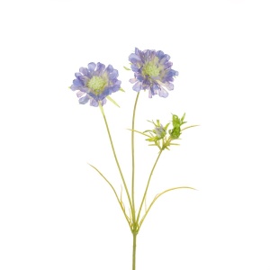 Scabiosa Spray 84cm