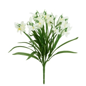 Snowdrop Bush Ivory-30cm