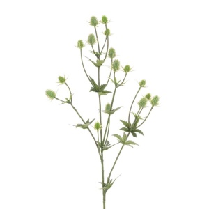 Thistle Spray Green