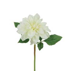 Short Dahlia 35cm