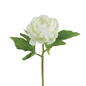 Short Double Peony 38cm