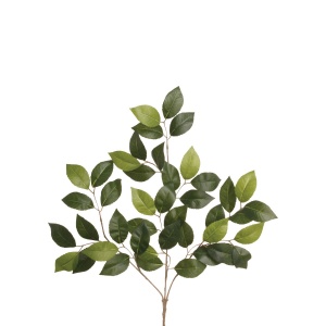 Camellia Spray-65 Green