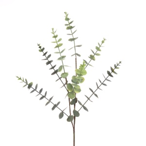 Tree Eucalyptus Spray Medium