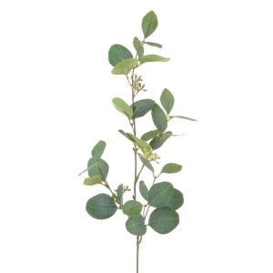 Eucalyptus Spray W/berries