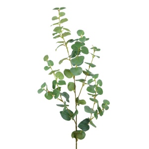 Eucalyptus Spray-102 Green