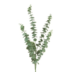 Eucalyptus Spray X 5 88cm