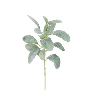 Lambs Ear Shortie - 35cm