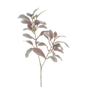 Lambs Ear Spray-71 Dusty Pink