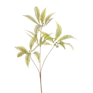 Fern X3s 24l Green-61cm