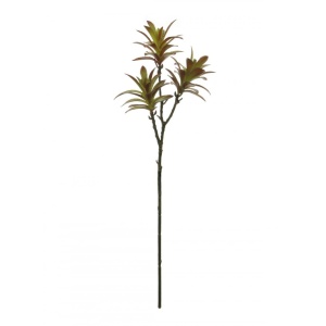 Plastic 3hd Madagascar Palm Succulent Brgndy Tip