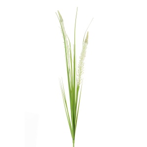 Grass Spray W/wolftail 97cm