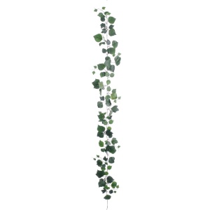 French Ivy Garland 183cm