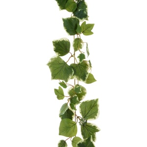 French Ivy Garland 183cm