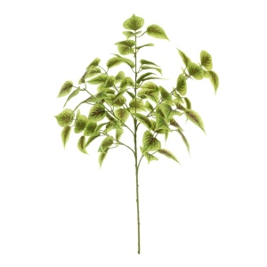 Sebastian Spray Green/yellow