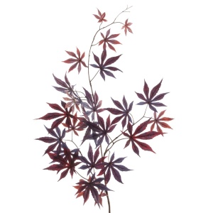 Japanese Maple Spray 100cm