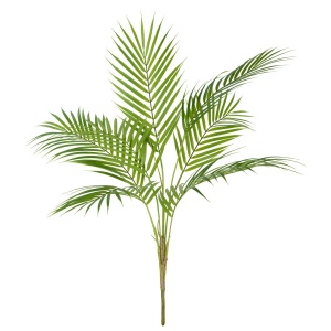 Areca Palm Bush