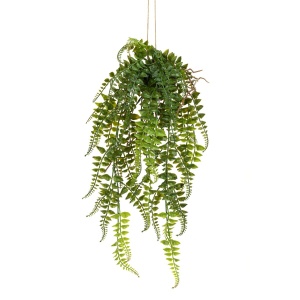 Hanging Fern - 61cm