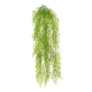 Uv Hanging Maidenhair Fern