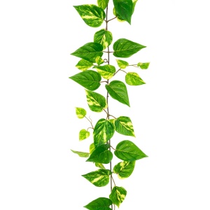 Uv Pothos Garland - 152cm