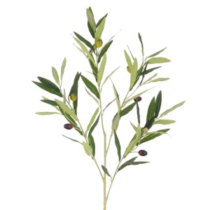 Olive Spray 97cm