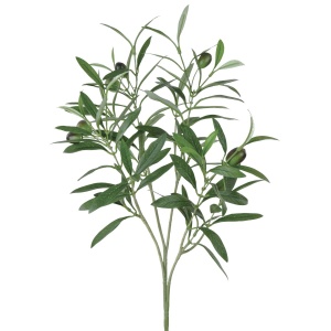 Olive Spray 104l & 6ol 54cm