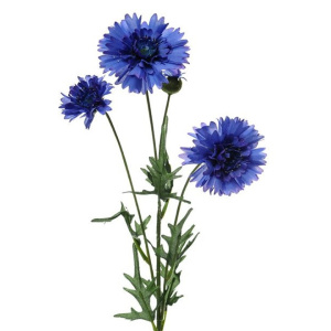 Cornflower Spray Blue 65cm